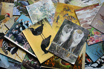 pile of vintage 1970s RSPB magazines