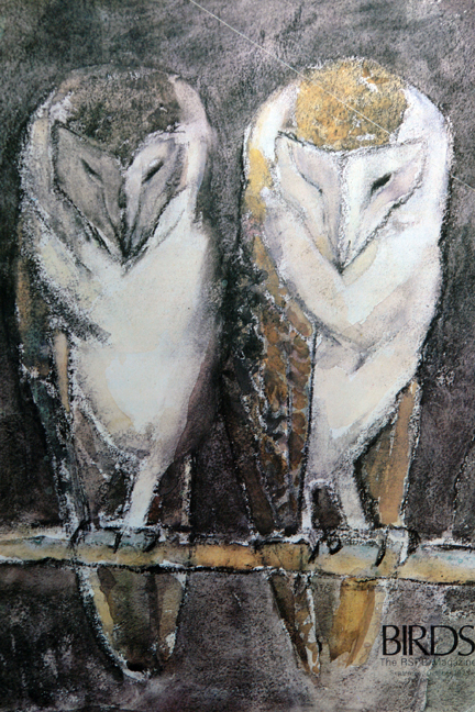 illustration of a pair of barn owls from a vintage 1970s RSPB magazine