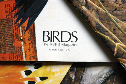 title detail from a vintage 1970s RSPB magazine