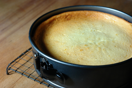 Baked vanilla cheesecake still in its spring-form cake tin Baked vanilla cheesecake still in its spring-form cake tin