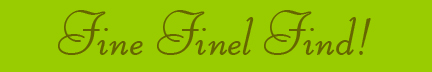 "Fine Finel Find!" blog post banner