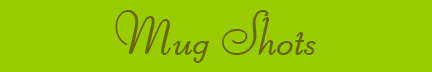 "Mug Shots" blog post banner