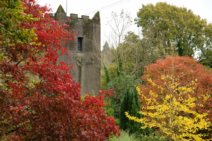 trees with beautiful autumn leaves in the churchyard, Ambleside, Lake District, Cumbria