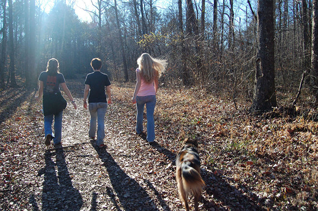 Three girls out dog walking Three girls out dog walking