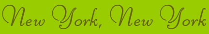 "New York, New York" blog post banner