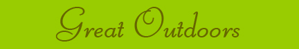Out & About banner