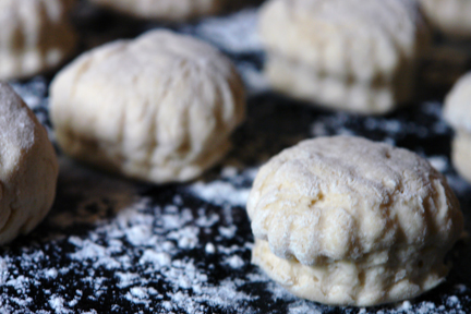 cut out scones on a baking tray ready to be put in the oven cut out scones on a baking tray ready to be put in the oven