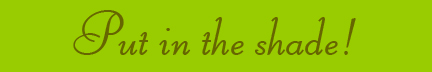 Put in the shade blog banner Put in the shade blog banner