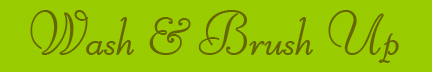 Wash & Brush Up banner