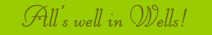 "All's well in Wells!" blog post banner