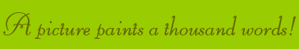 "A picture paints a thousand words" blog post banner